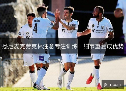悉尼麦克劳克林注意专注训练：细节重复成优势